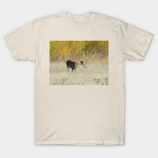 Mule deer, doe, wildlife, gifts, Serene Moment T-Shirt